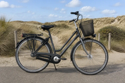 Cykel med klitlandskab ved Skallerup Seaside Resort
