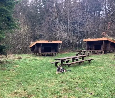 Der er shelterpladser og mulighed for overnatning og madlavning på bål i Kajholm Plantage Shelterplads i Kajholm Plantage med bord-bænkesæt og bålplads