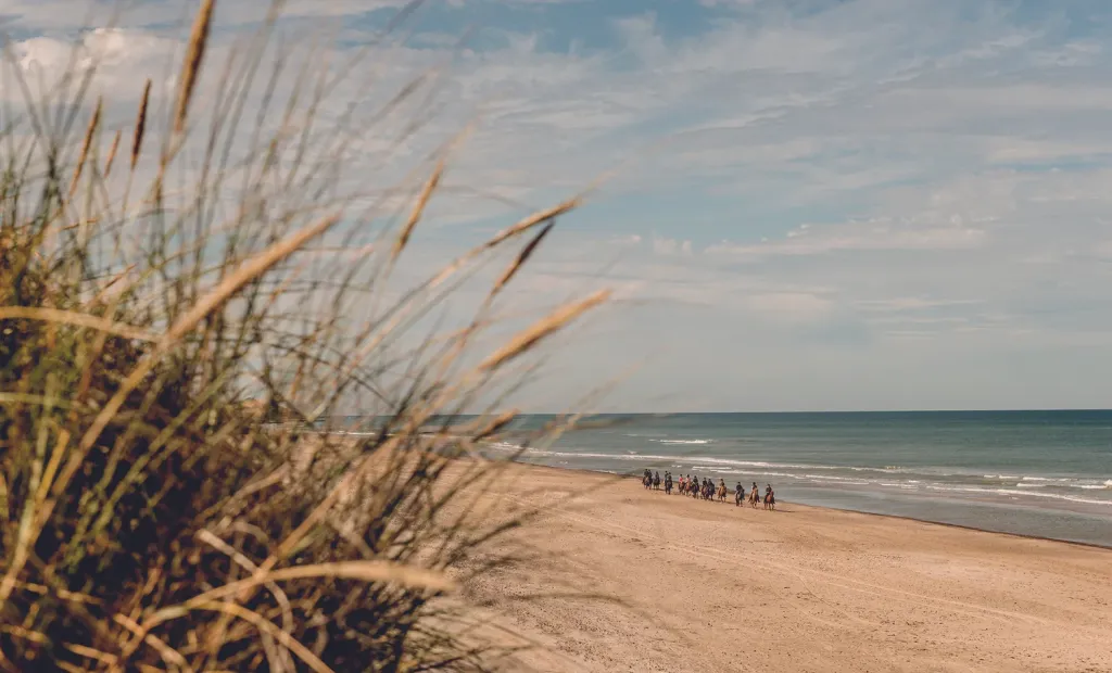 Rideture langs Vesterhavet Rideture langs Vesterhavet ved Nørlev Strand