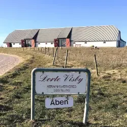 Høstudstilling hos Galleri Visby
