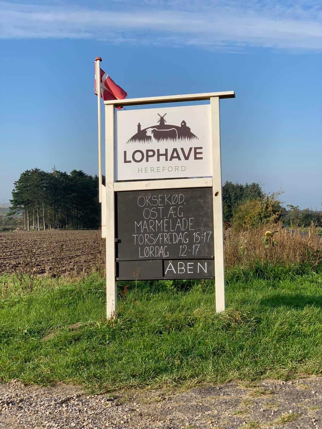 Lophave Hereford