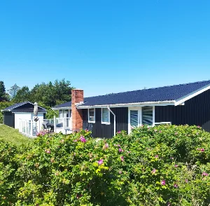 Tagarbejde på sommerhus Tagarbejde på sommerhus